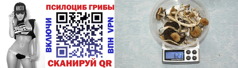 Псилоцибиновые грибы GOLDEN TEACHER  Александровское 